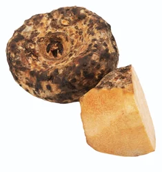 NDA-9 Elephant Yam (Suran / Jimikand)